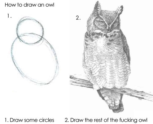 Draw the owl meme
